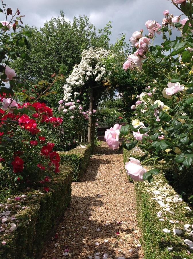 Hollyhock Cottage, Clematis Cottages, スタンフォード エクステリア 写真