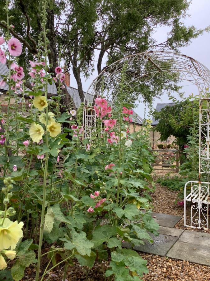 Hollyhock Cottage, Clematis Cottages, スタンフォード エクステリア 写真