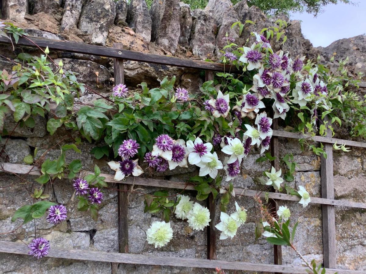 Hollyhock Cottage, Clematis Cottages, スタンフォード エクステリア 写真