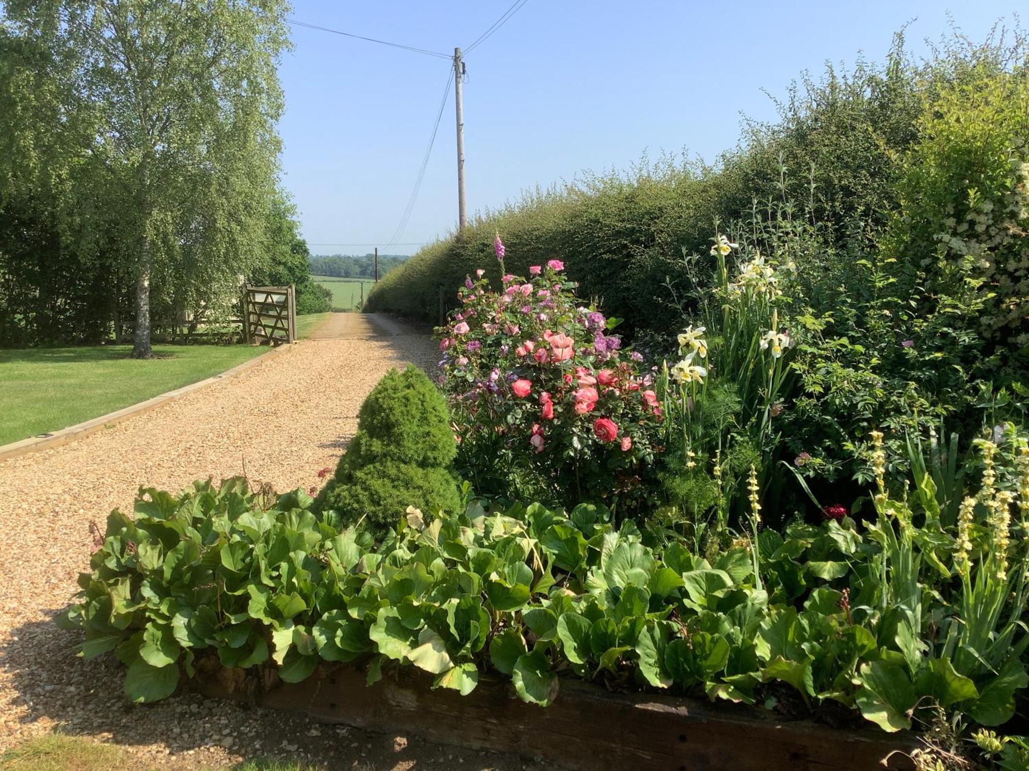 Hollyhock Cottage, Clematis Cottages, スタンフォード エクステリア 写真